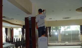 上海家庭虫害防治与保洁服务 一站式解决虫害与清洁烦恼