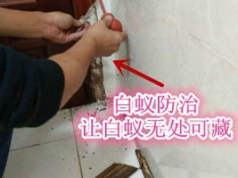 深圳专业保洁与除虫服务 工厂、商店、展厅的全方位清洁解决方案